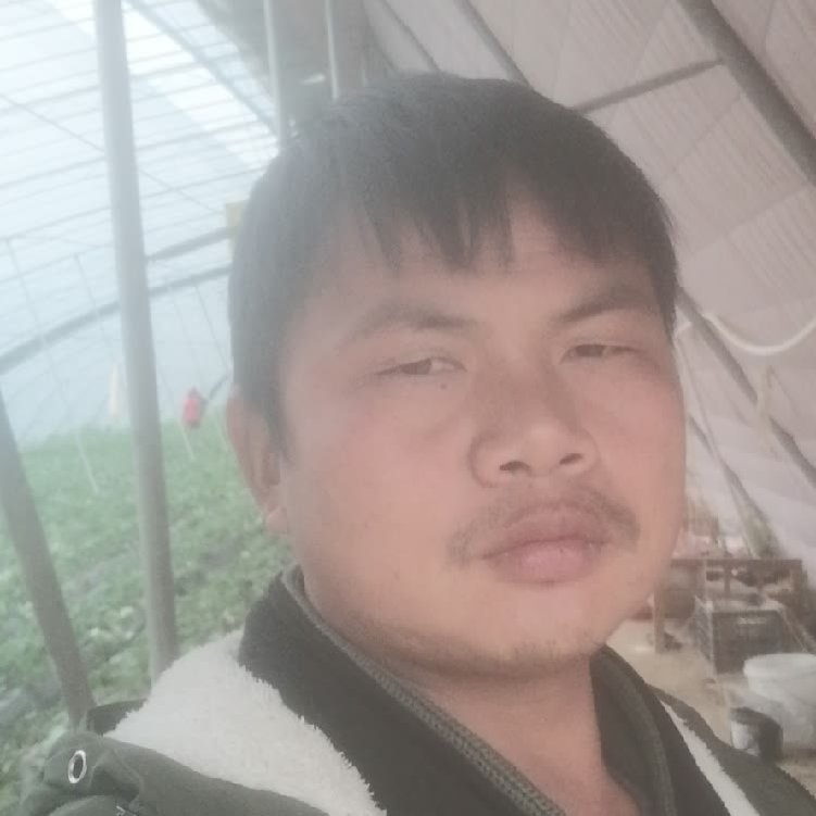 孤狼‘的第一张照片--江西认干亲服务网